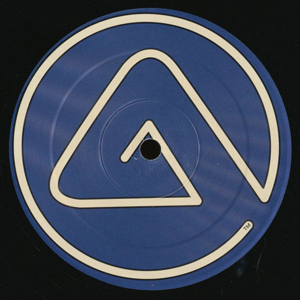 I Learned From The Best (HQ² Mixes) | Rectangle Triangle