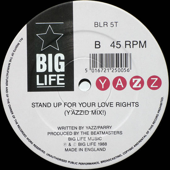 Stand Up For Your Love Rights | Rectangle Triangle