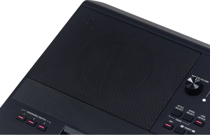 Medeli AKX10S 61-Key Arranger Workstation Keyboard with Bluetooth & Customizable LEDs, Black 