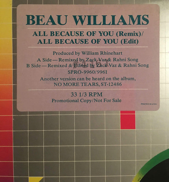 All Because Of You Beau Williams