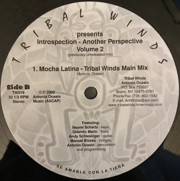 Introspection - Another Perspective Volume 2 Antonio Ocasio