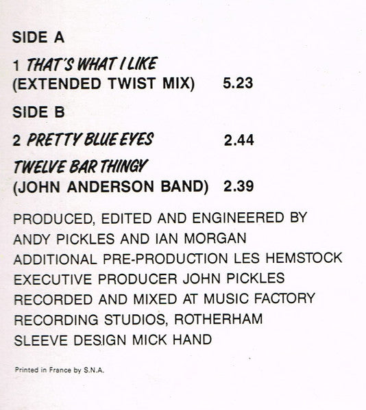 C'est ce que j'aime Jive Bunny et les Mastermixers