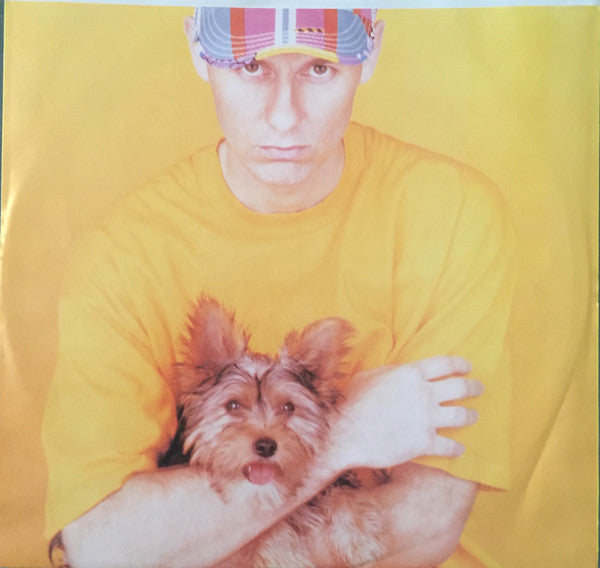Introspective Pet Shop Boys