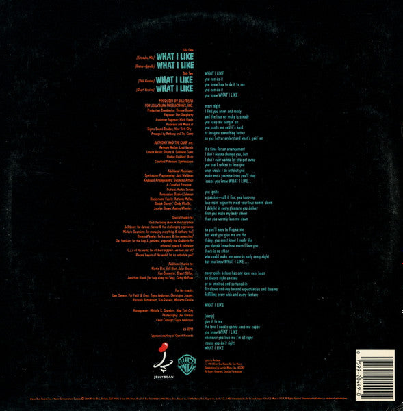 What I Like Anthony And The Camp