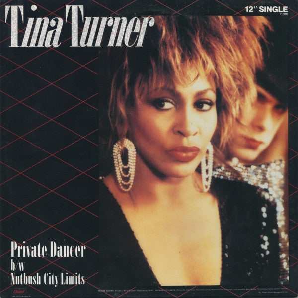 Danseuse privée Tina Turner