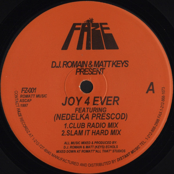 Joie pour toujours DJ Romain &amp; Matt Keys,Nedelka Prescod