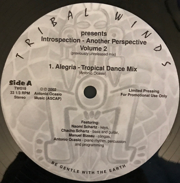 Introspection - Another Perspective Volume 2 | Rectangle Triangle