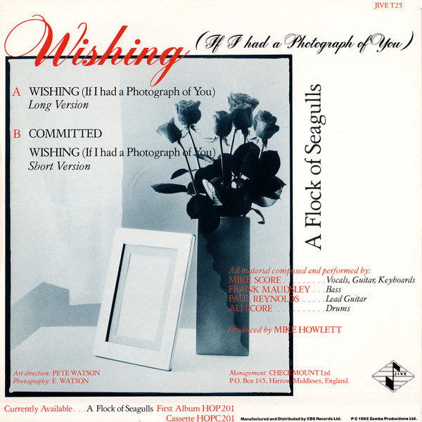 Wishing (If I Had A Photograph Of You) | Rectangle Triangle