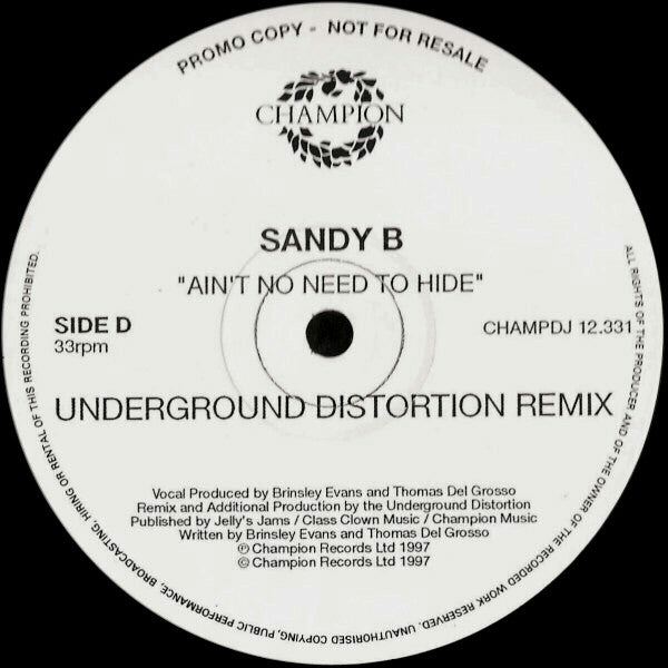 Ain't No Need To Hide Sandy B