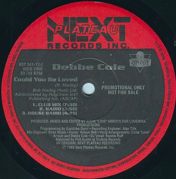 Could You Be Loved Debbe Cole