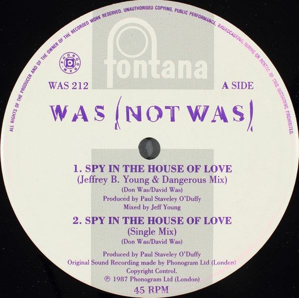 Spy In The House Of Love | Rectangle Triangle