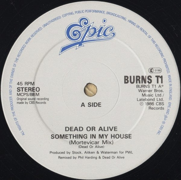 Something In My House (Mortevicar Mix) Dead Or Alive