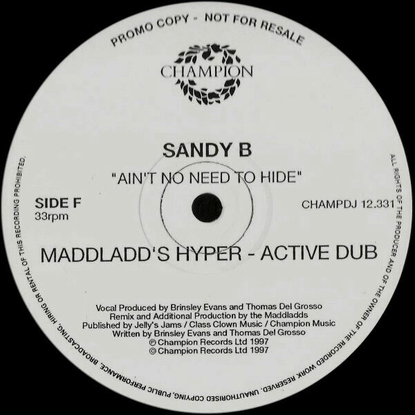 Ain't No Need To Hide 2 Sandy B