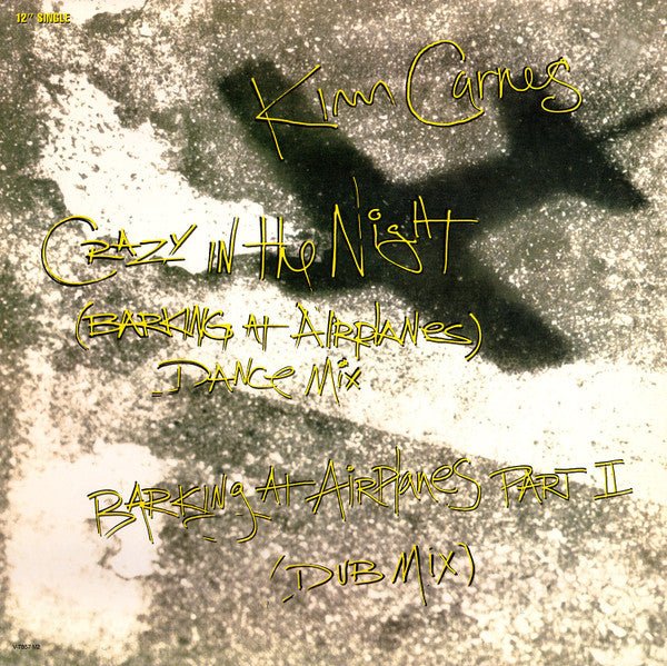 Crazy In The Night (Barking At Airplanes) | Rectangle Triangle