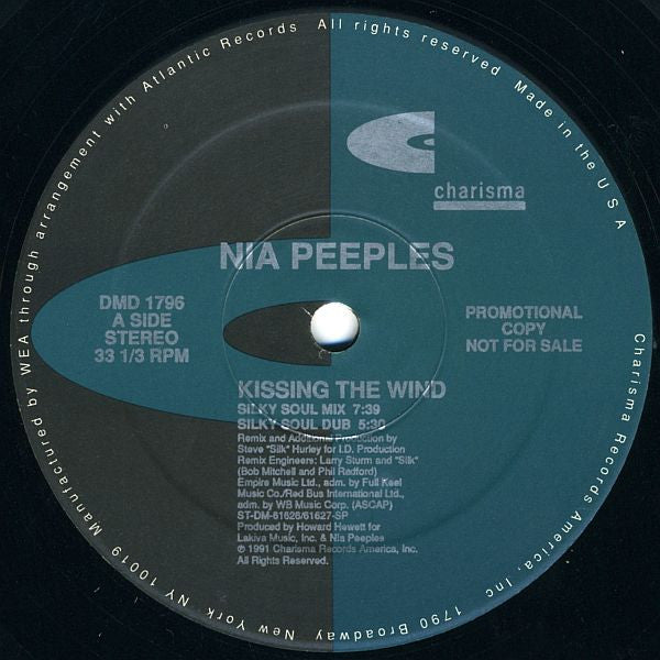 Kissing The Wind 2 Nia Peeples