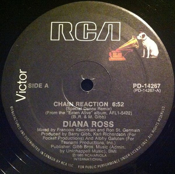 Chain Reaction (Special Dance Remix) Diana Ross