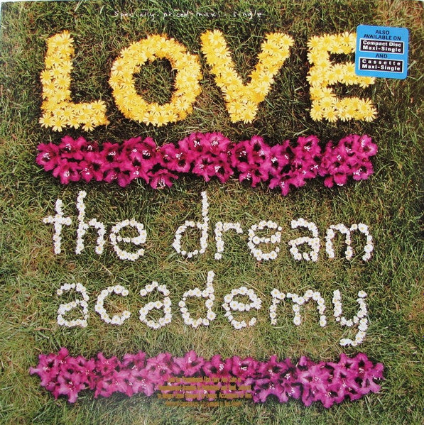 Love The Dream Academy