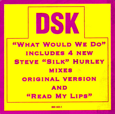 What Would We Do DSK