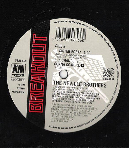 Sister Rosa The Neville Brothers