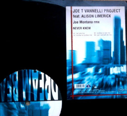 Never Knew Joe T. Vannelli Project,Alison Limerick