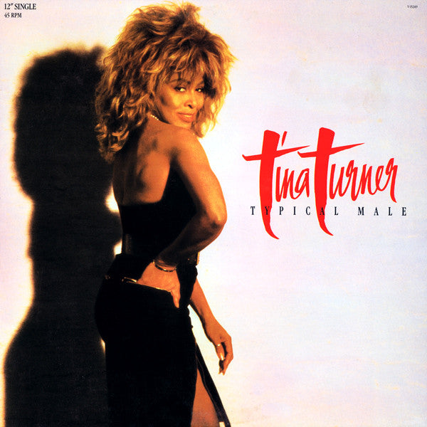 Typical Male (Dance Mix) 2 Tina Turner