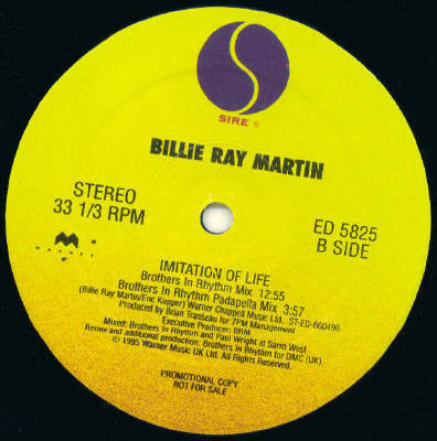 Imitation de la vie Billie Ray Martin