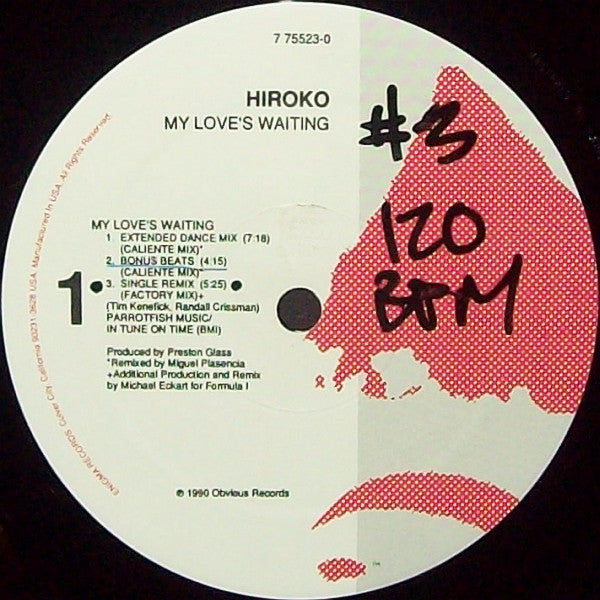 My Love's Waiting 2 Hiroko
