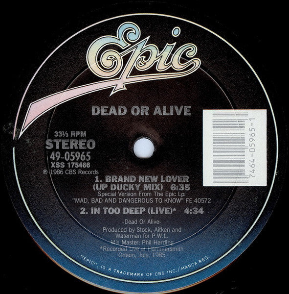 Brand New Lover Dead Or Alive