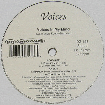 Voices In My Mind Voices