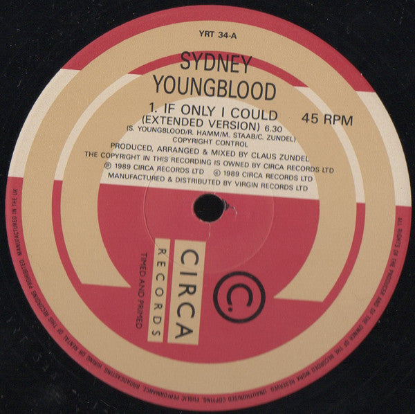 If Only I Could 2 Sydney Youngblood