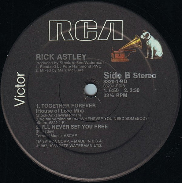 Together Forever Rick Astley