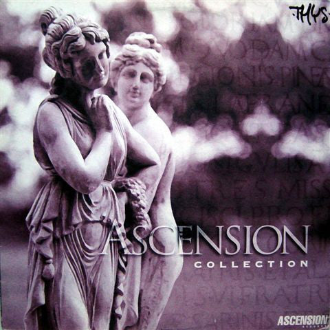 Ascension Collection | Rectangle Triangle  