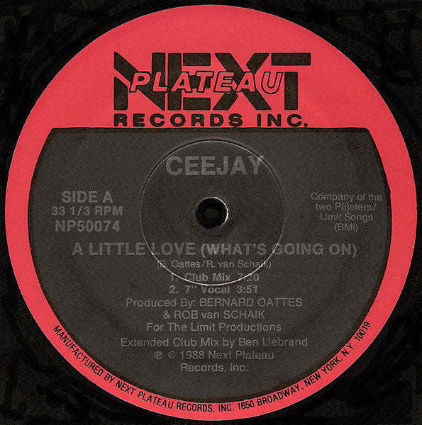 A Little Love (What's Going On) Ceejay