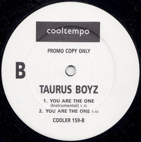 You Are The One (The Remix) Taurus Boyz