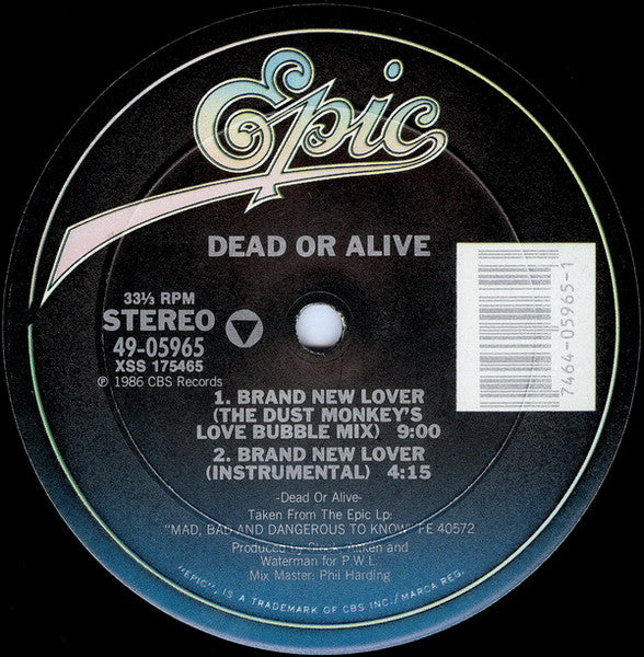 Brand New Lover Dead Or Alive