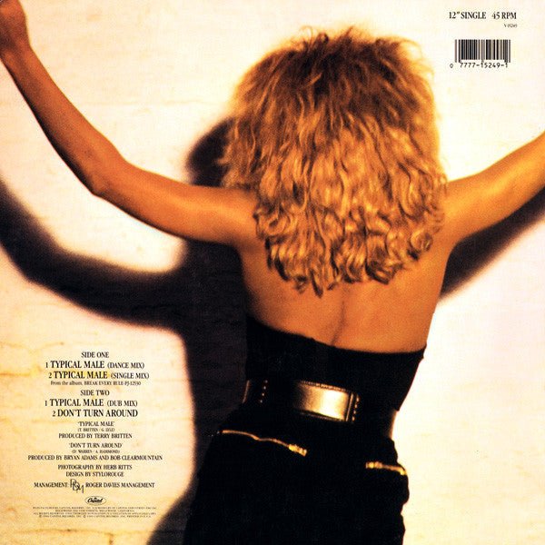 Typical Male (Dance Mix) Tina Turner
