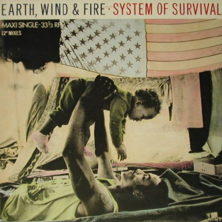 System Of Survival (12" Mixes) | Rectangle Triangle  