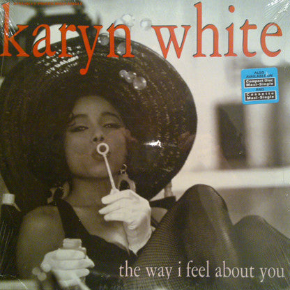 The Way I Feel About You Karyn White