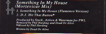 Something In My House (Mortevicar Mix) Dead Or Alive