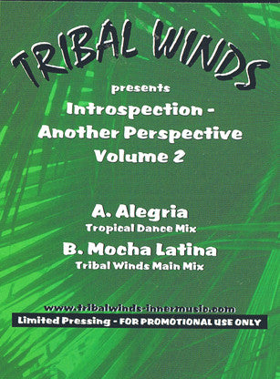 Introspection - Another Perspective Volume 2 | Rectangle Triangle
