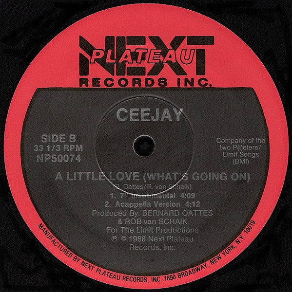 A Little Love (What's Going On) Ceejay