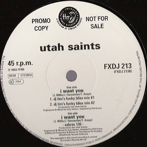 I Want You 2 Utah Saints