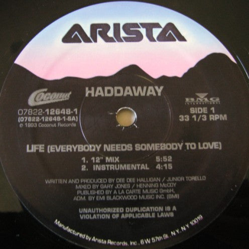 Life (Everybody Needs Somebody To Love) Haddaway