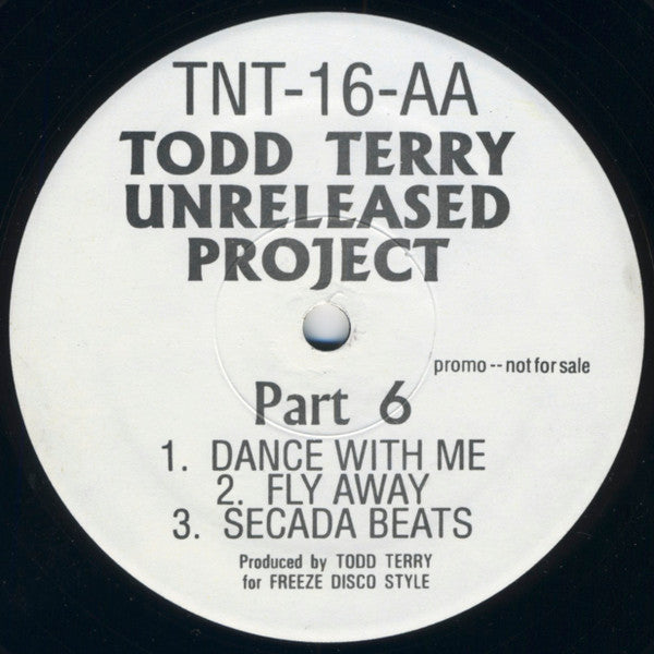 Unreleased Project Part 6 Todd Terry