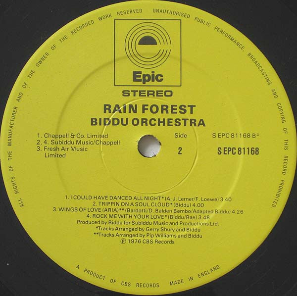 Rain Forest | Rectangle Triangle  