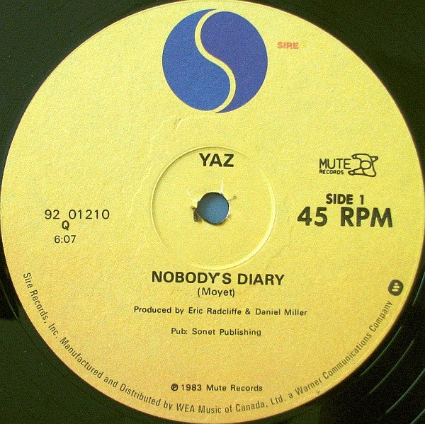 Nobody's Diary / State Farm | Rectangle Triangle  