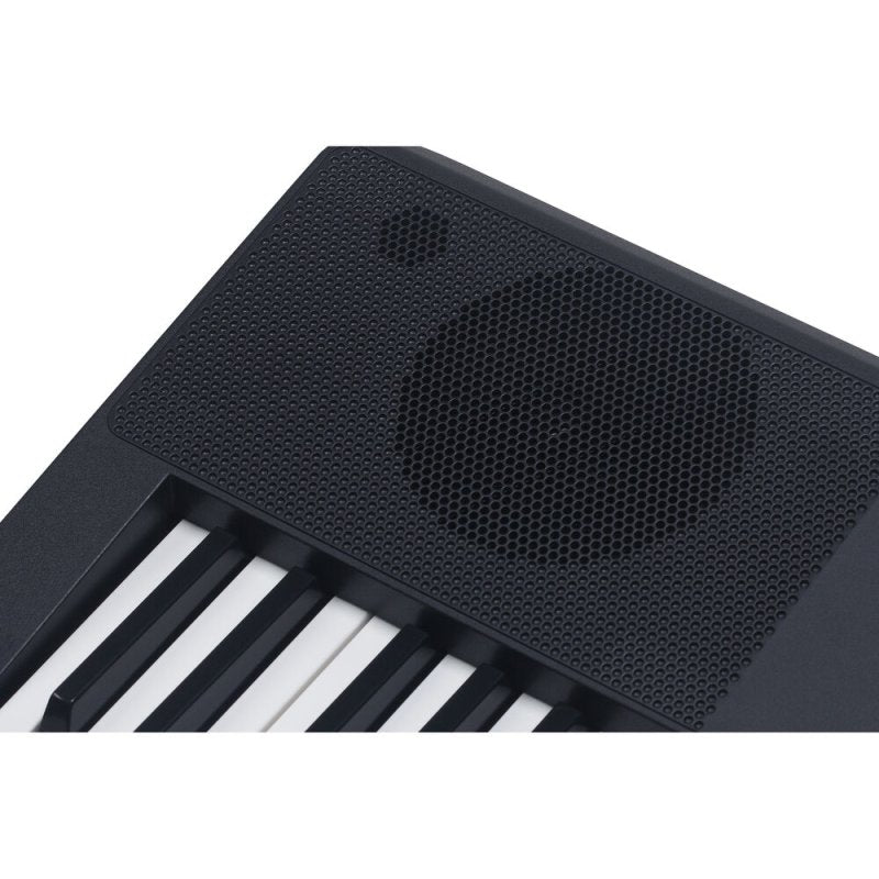 Medeli MK61-BK Nebula Series 61-Key Touch Sensitive Keyboard with USB Midi and Audio, Black 