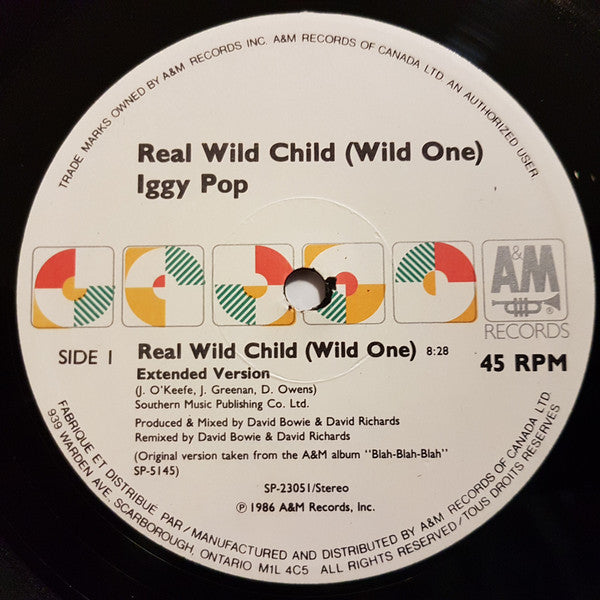 Real Wild Child (Wild One) | Rectangle Triangle