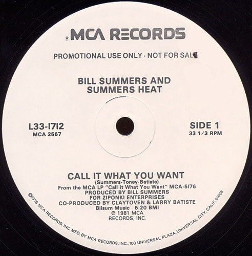 Call It What You Want / Jammin Bill Summers & Summers Heat
