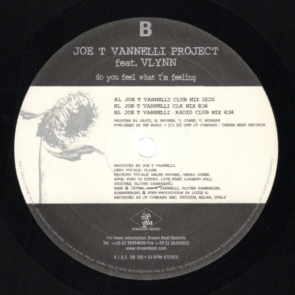 Est-ce que tu ressens ce que je ressens ? Projet Joe T. Vannelli, Vlynn
